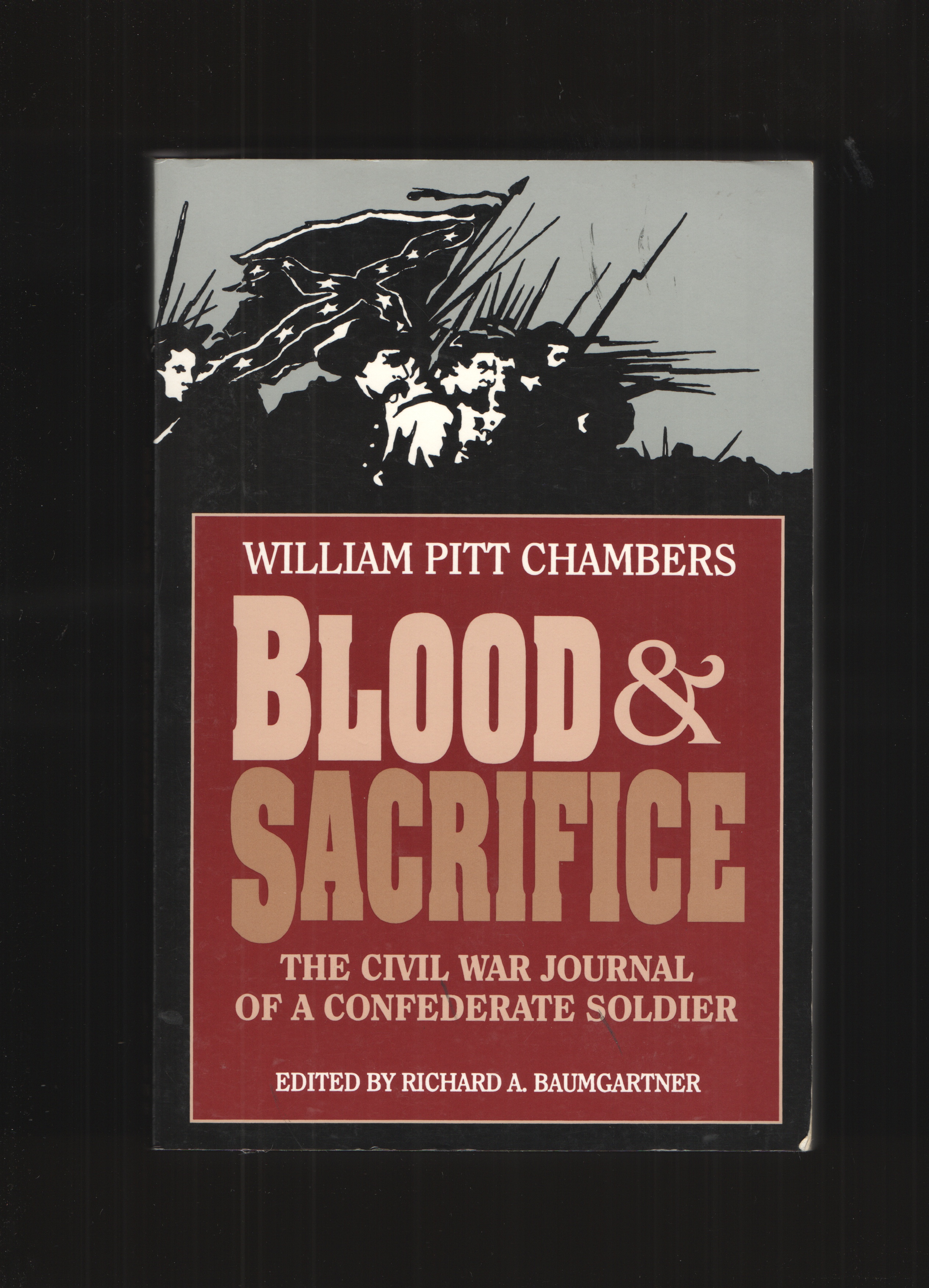 Image for Blood and Sacrifice The Civil War Journal of a Confederate Soldier