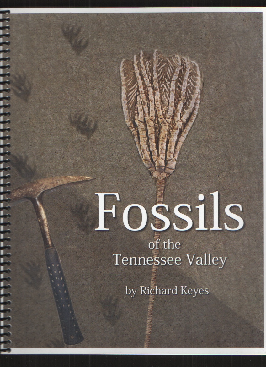 Image for Fossils of the Tennessee Valley